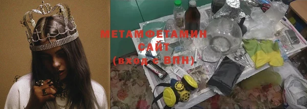 шишки Надым