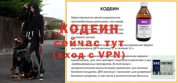 шишки Надым