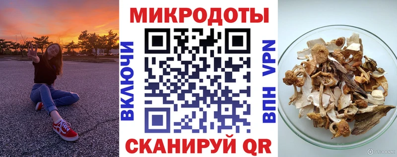 Галлюциногенные грибы Psilocybine cubensis  Юрьев-Польский 